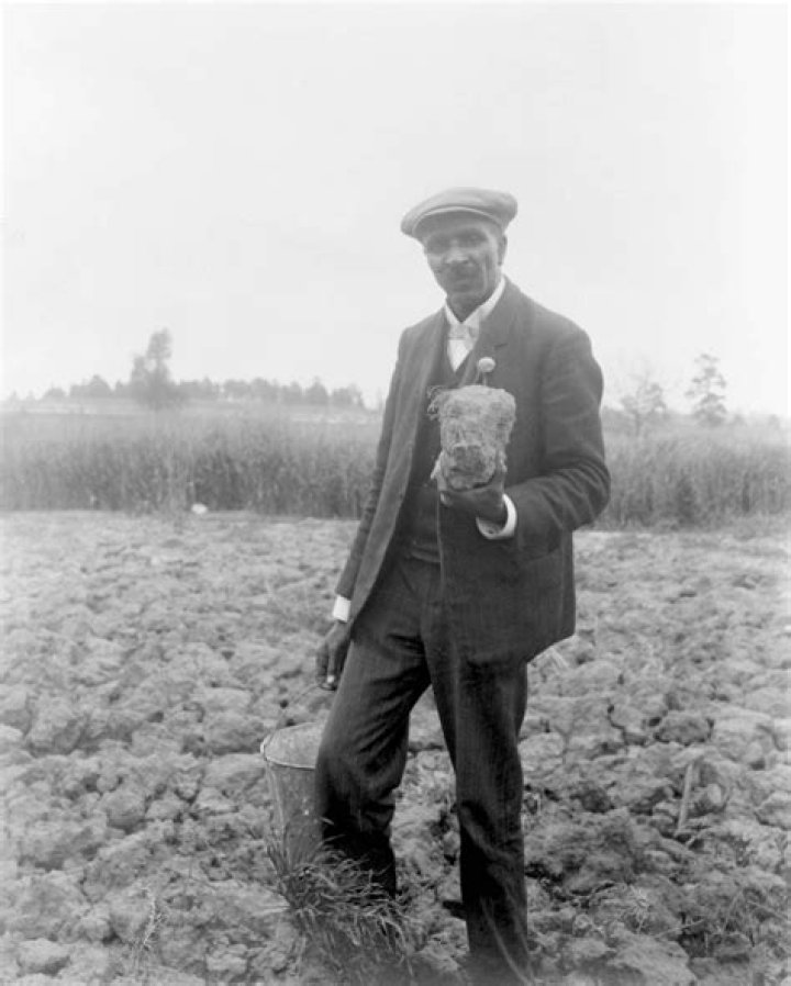 George Washington Carver